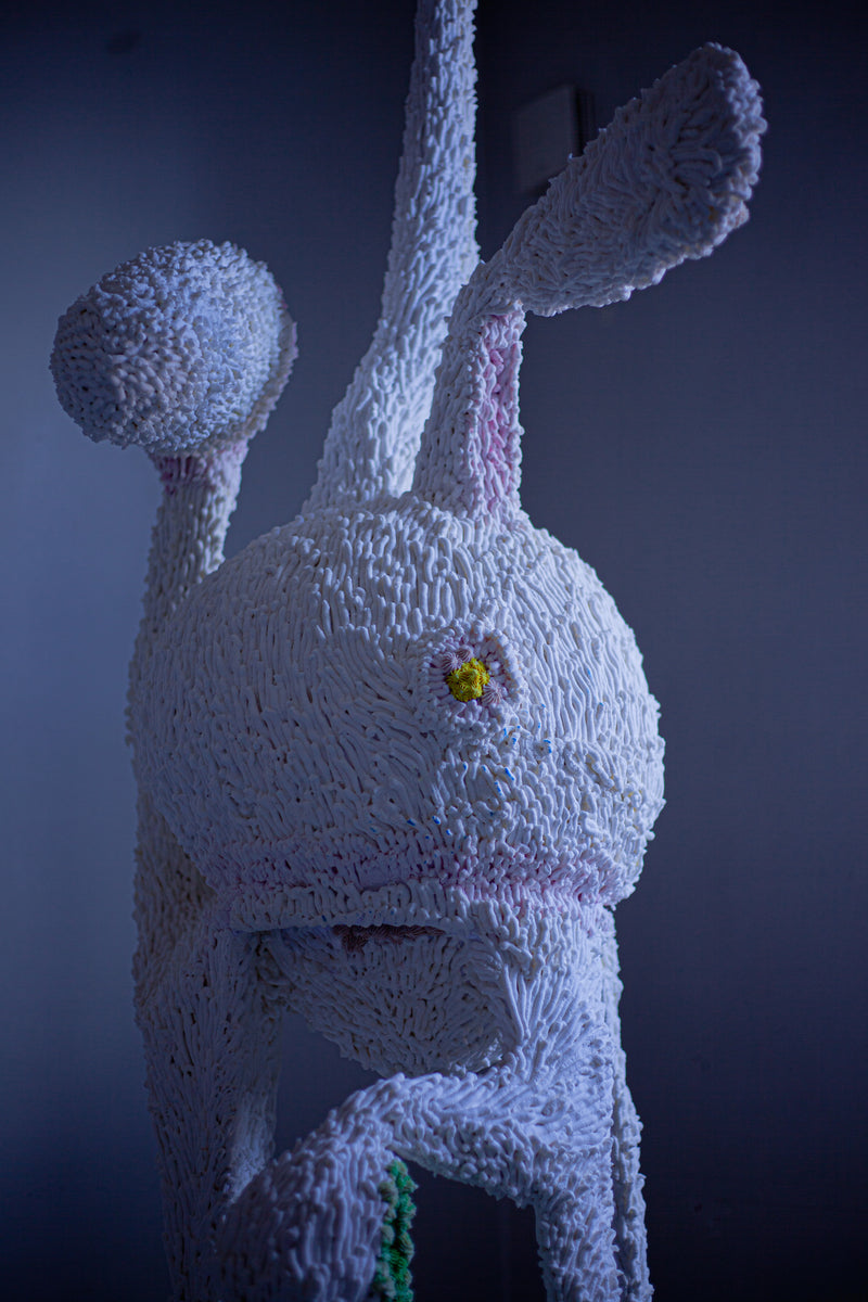 ANTHROPOCORALLIUS REX - image 5