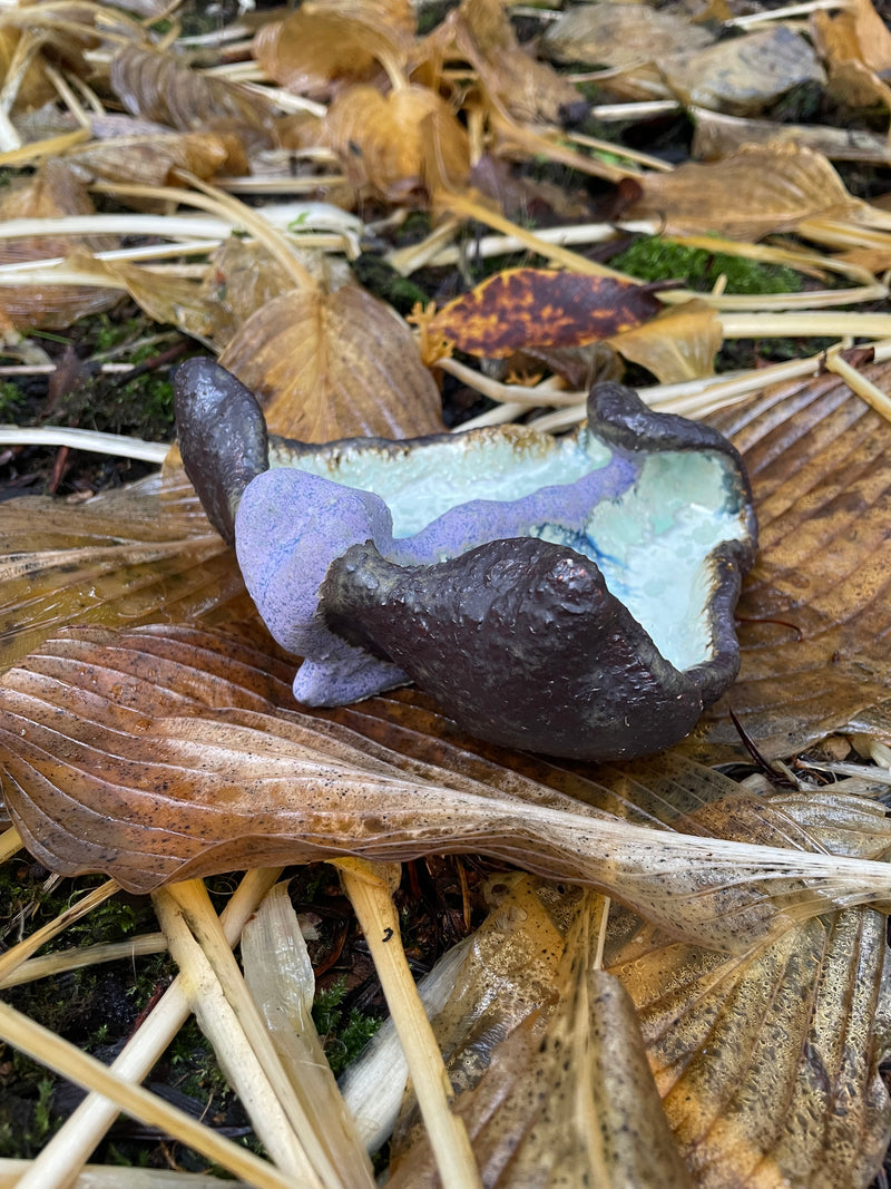 Blooming, opening - image 4