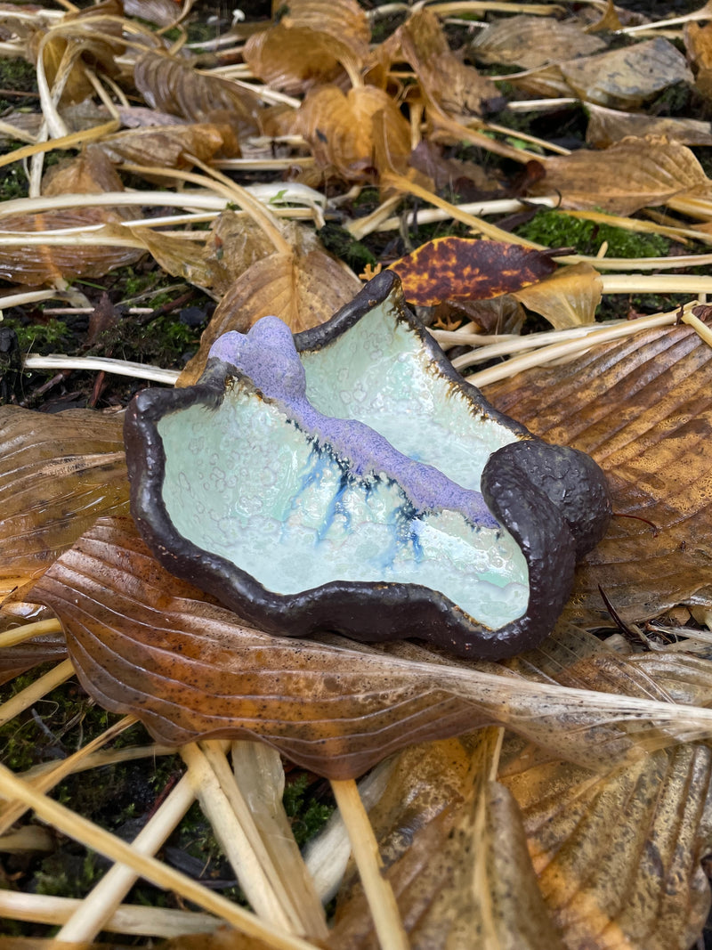 Blooming, opening - image 2