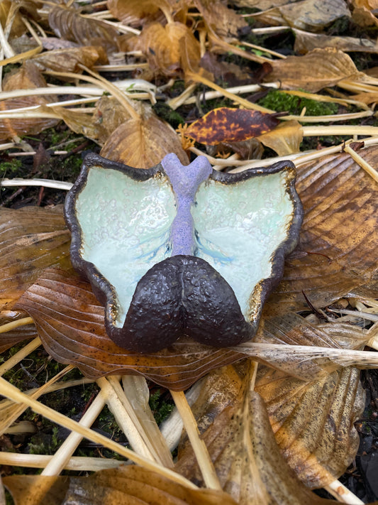 Blooming, opening - image 3