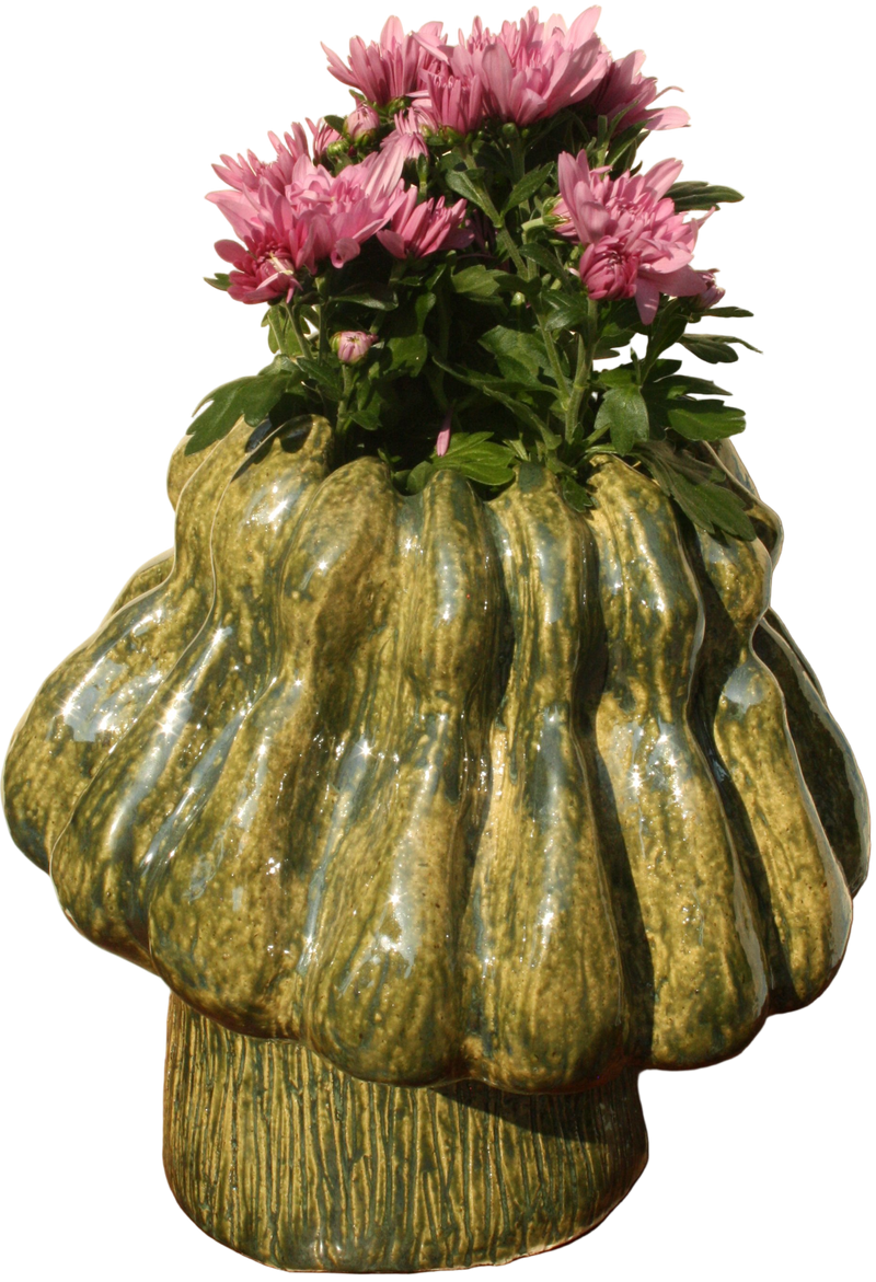 Mossy Coral - image 1