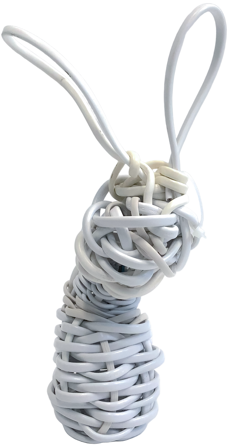 White rabbit - image 1