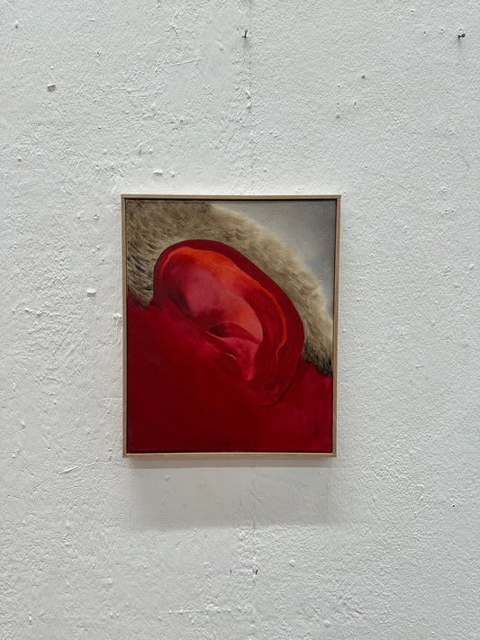 Untitled - image 4