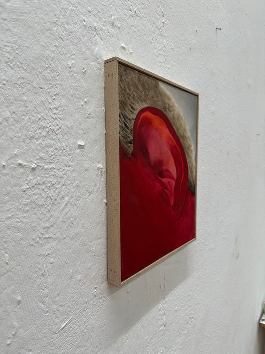 Untitled - image 2