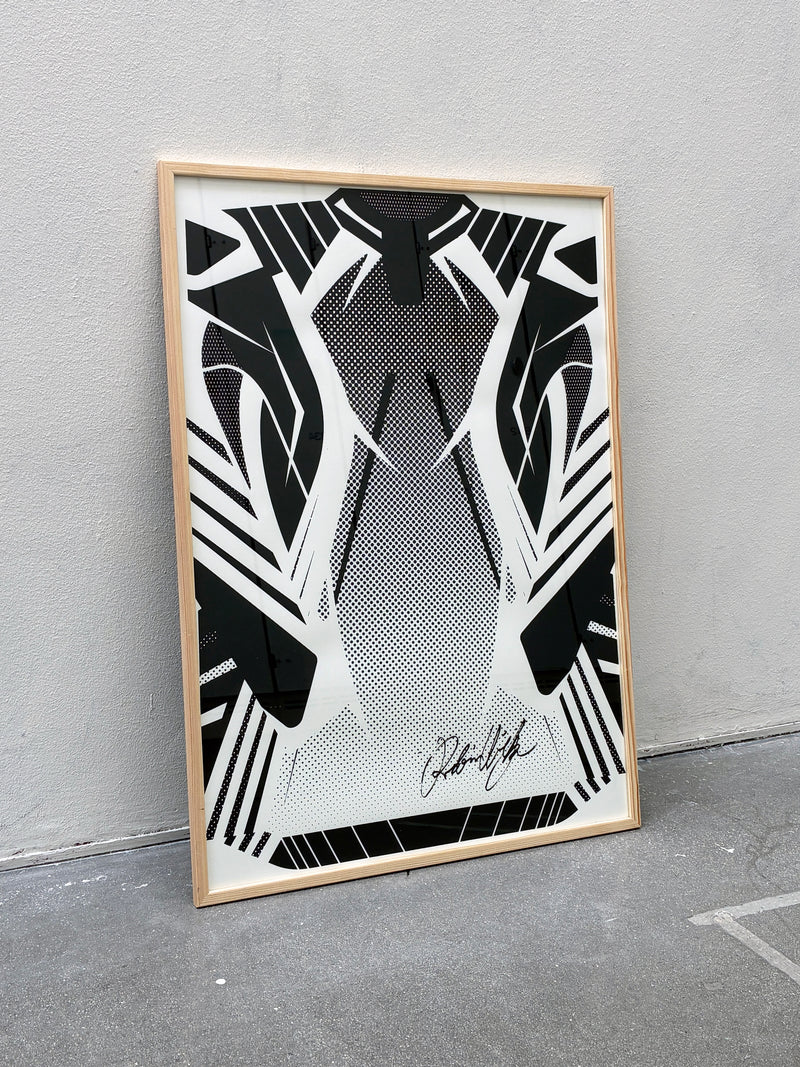 Autographed signed framed jersey Robin van Wijk 01, 2026 - image 3