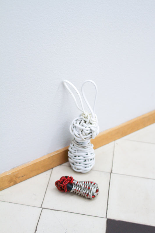 White rabbit - image 7