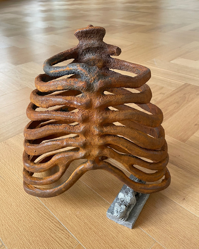 Feline exiting ribcage - image 3