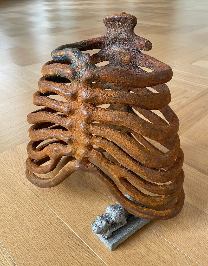 Feline exiting ribcage - image 2