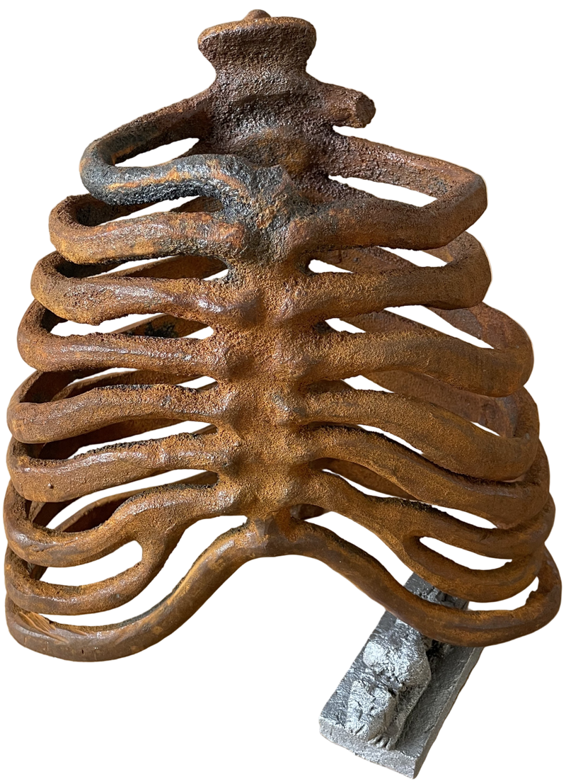 Feline exiting ribcage - image 1