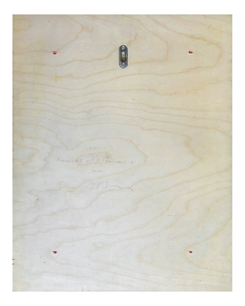 Privilege Y - image 3