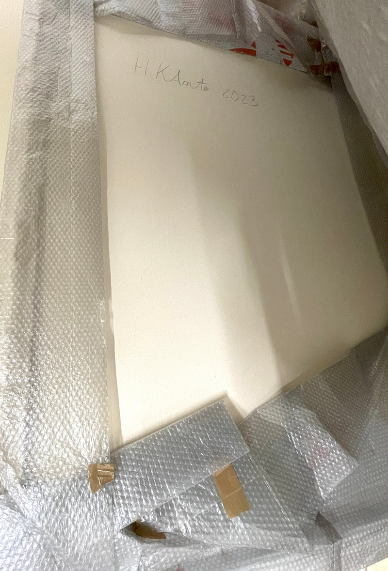 Pupal Cradle (Kotelokehdot) - image 3