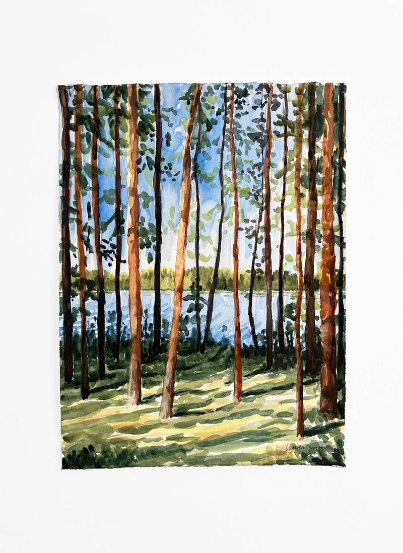 Catch the Sun - image 4