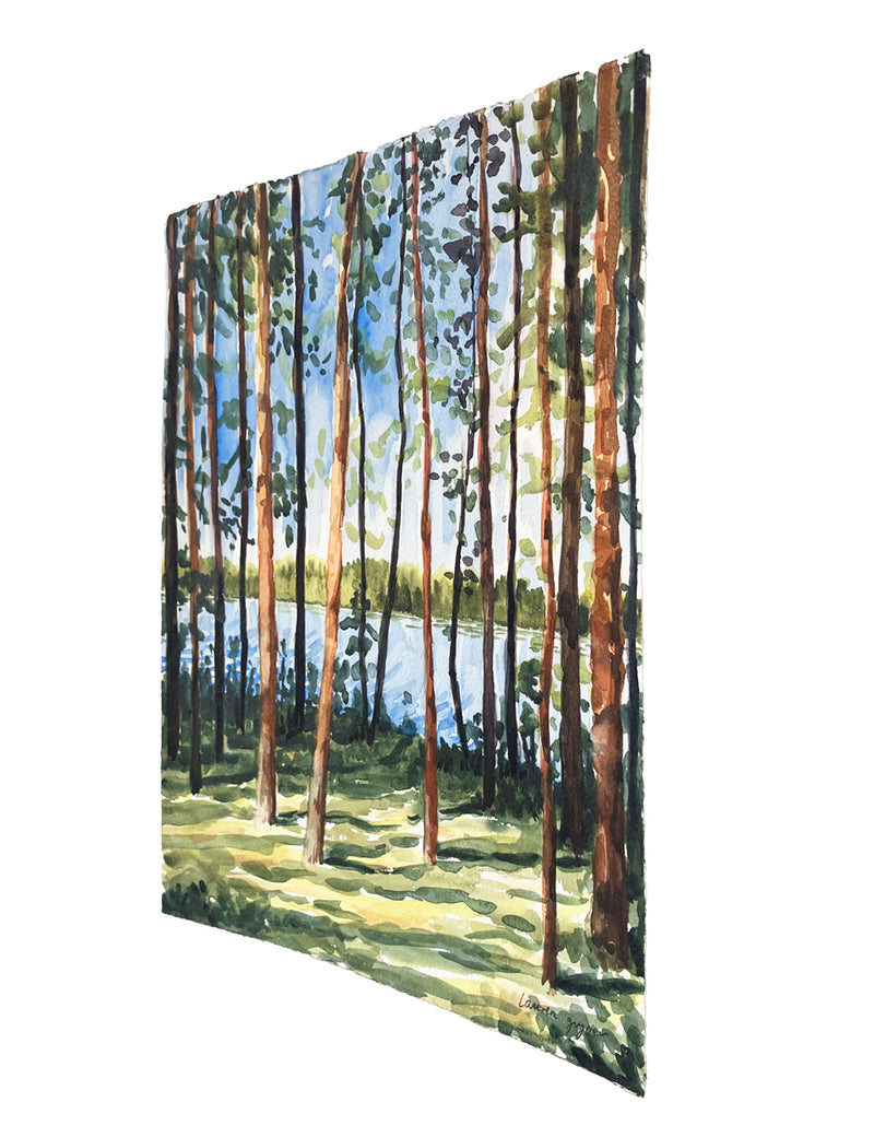 Catch the Sun - image 2