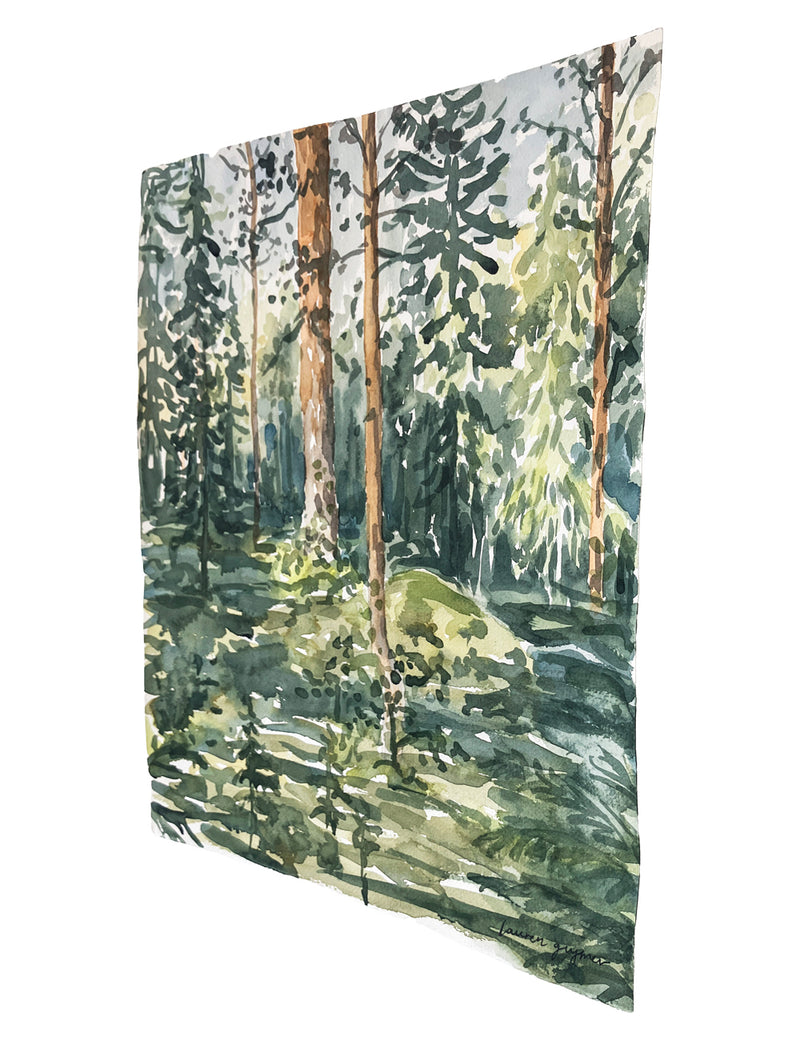 Forest Ramble - image 2