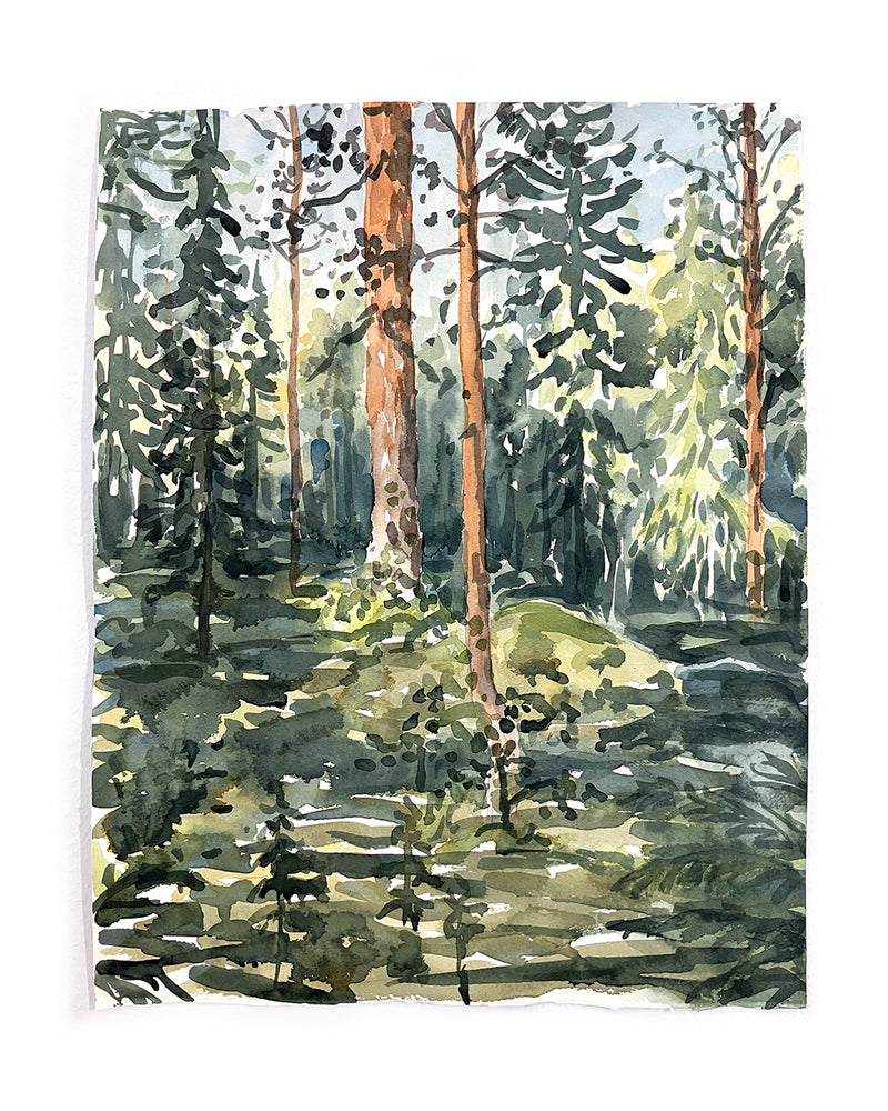 Forest Ramble - image 4