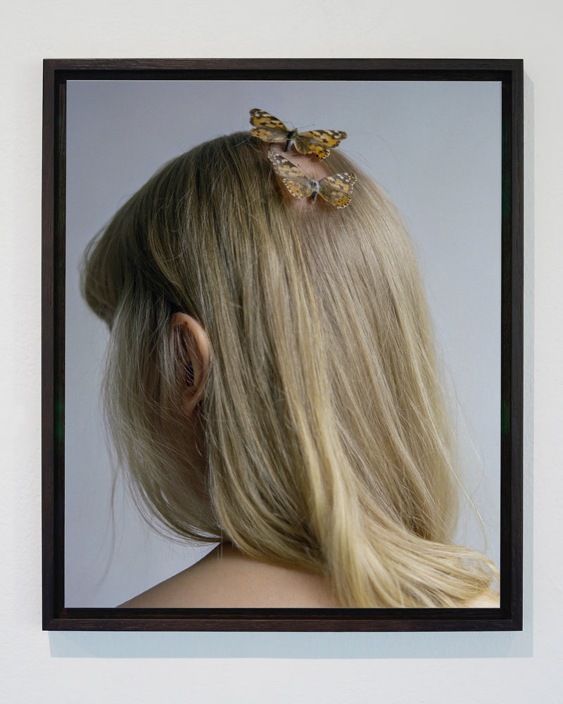 Butterflies - image 4
