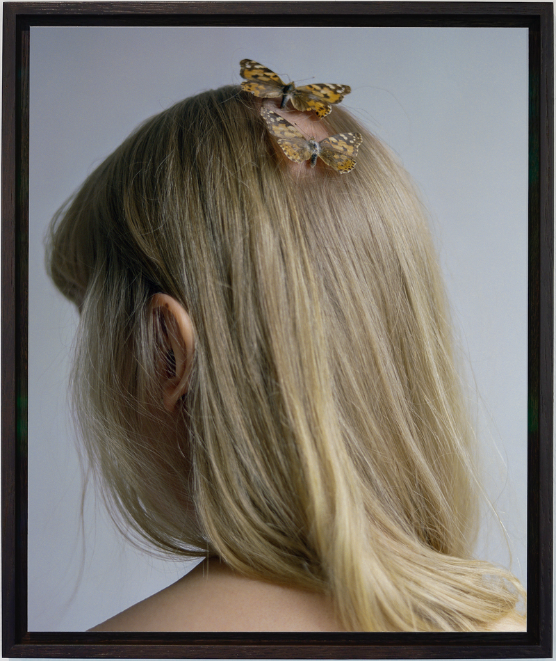 Butterflies - image 1