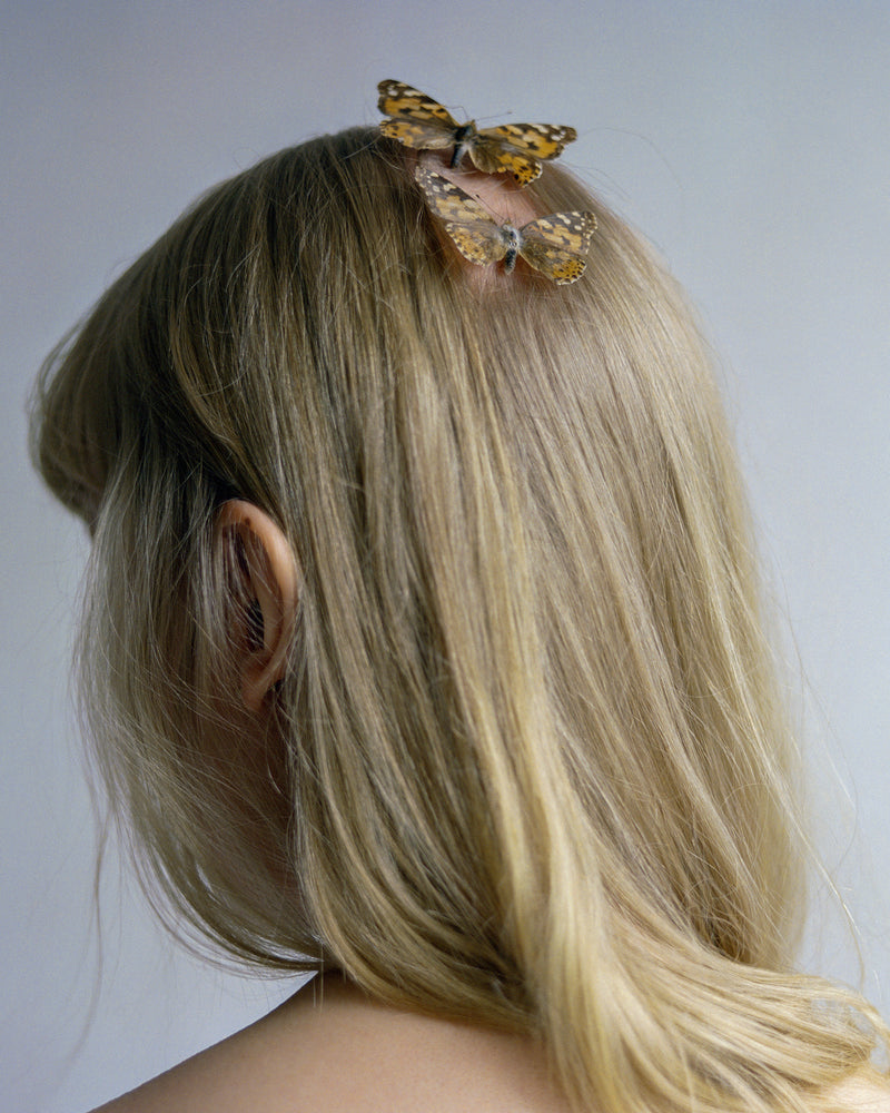 Butterflies - image 3