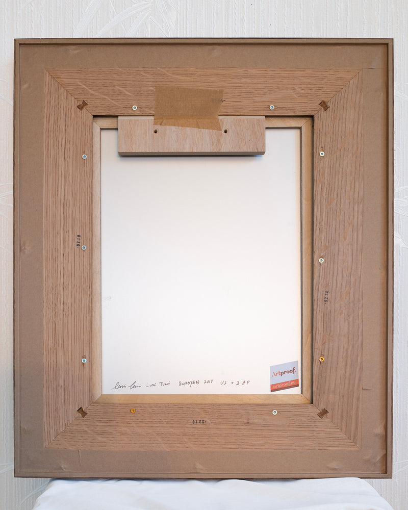 Butterflies - image 5