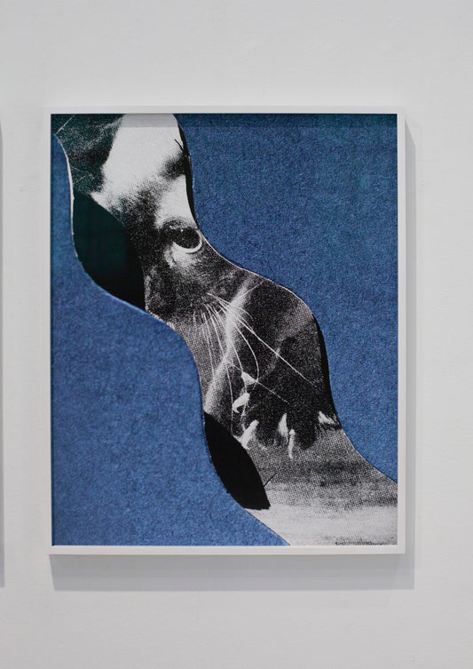 Echo of the gaze - image 2