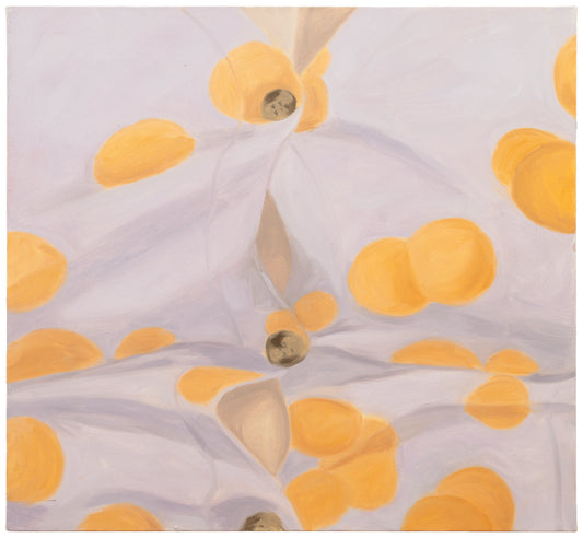 It's not me It's the shirt Oil on Canvas Painting by Saimi Suikkanen