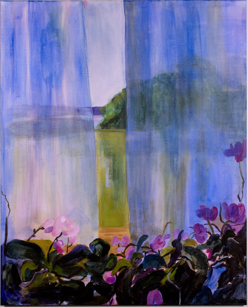 Orchids - image 1