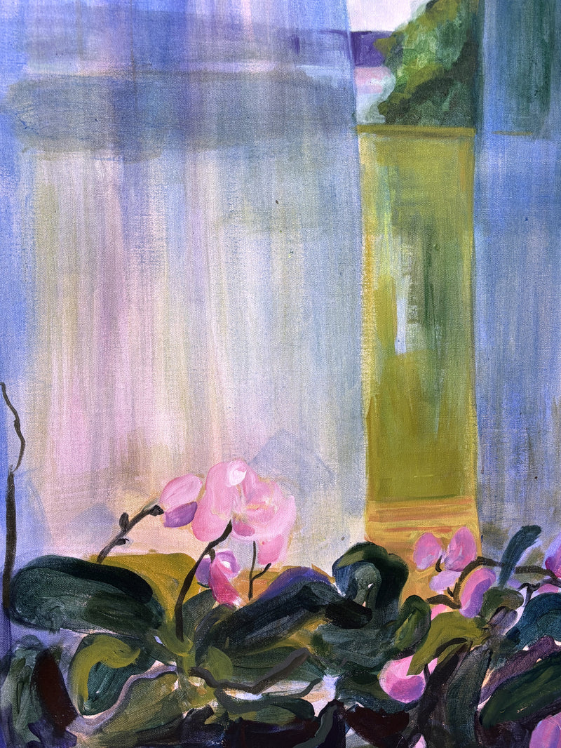 Orchids - image 4