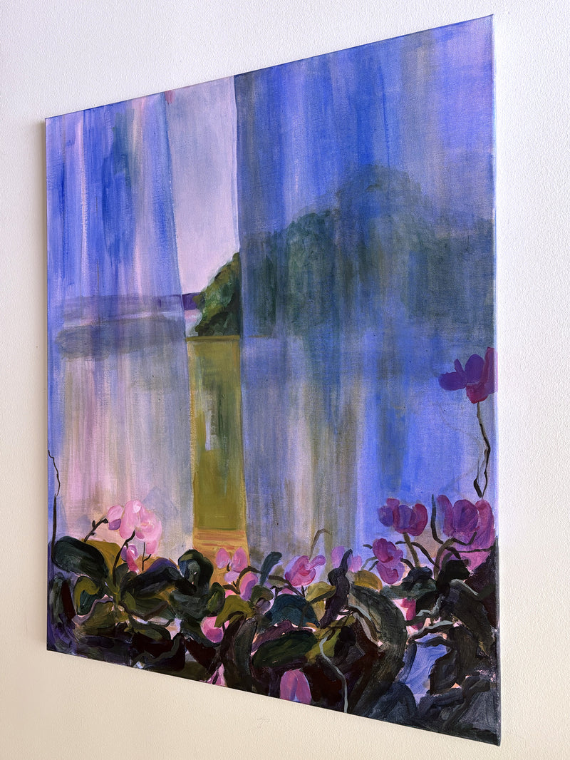 Orchids - image 3