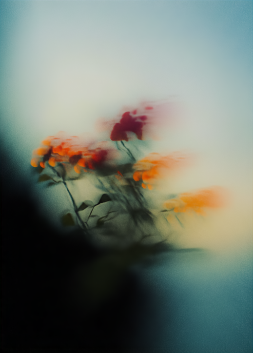 Framed abstract artwork with blurred flowers on a beige wall