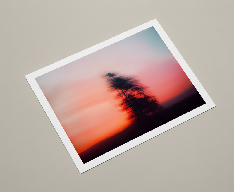 I Made You This - image 3