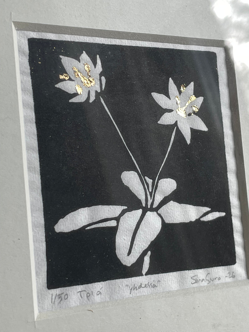 Yhdessä (Together) - image 4