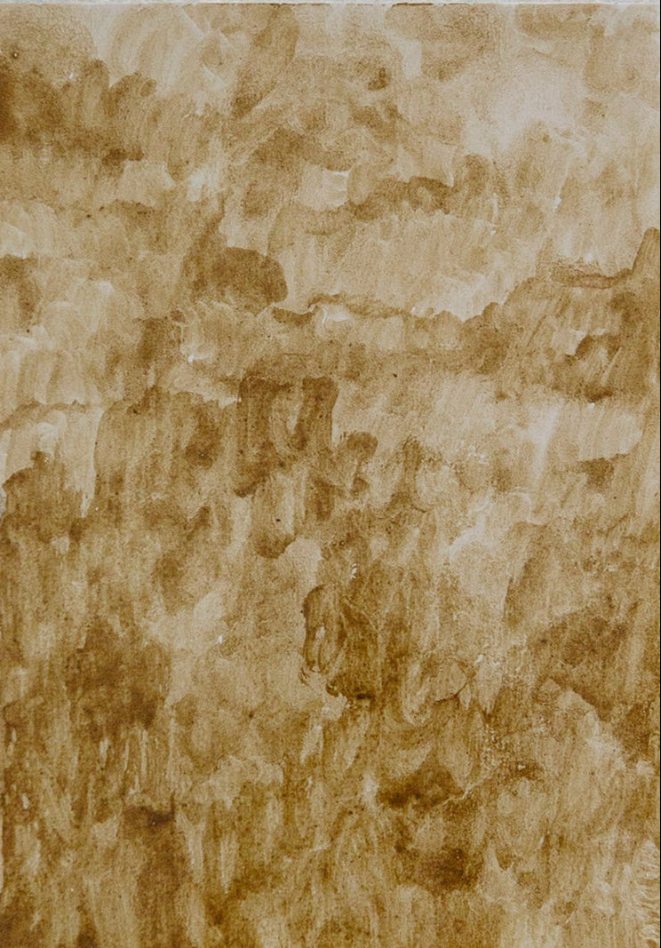 Soup of: rotten orange birch bolete mushroom - image 1