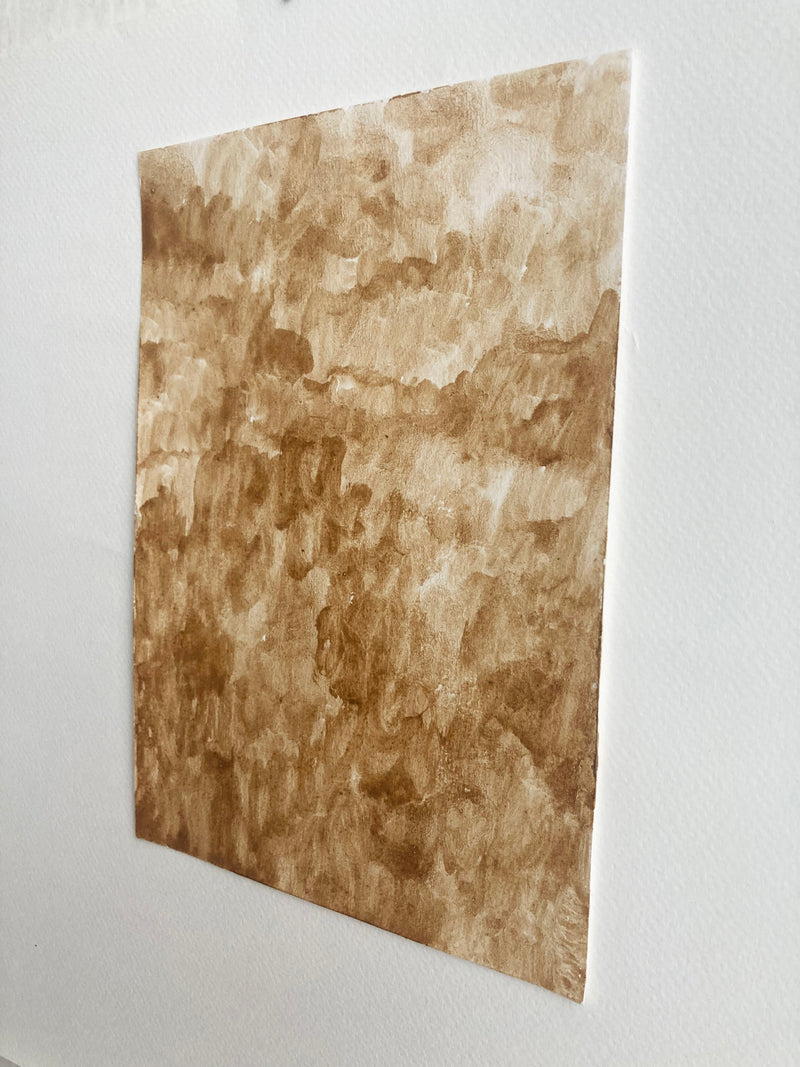 Soup of: rotten orange birch bolete mushroom - image 2