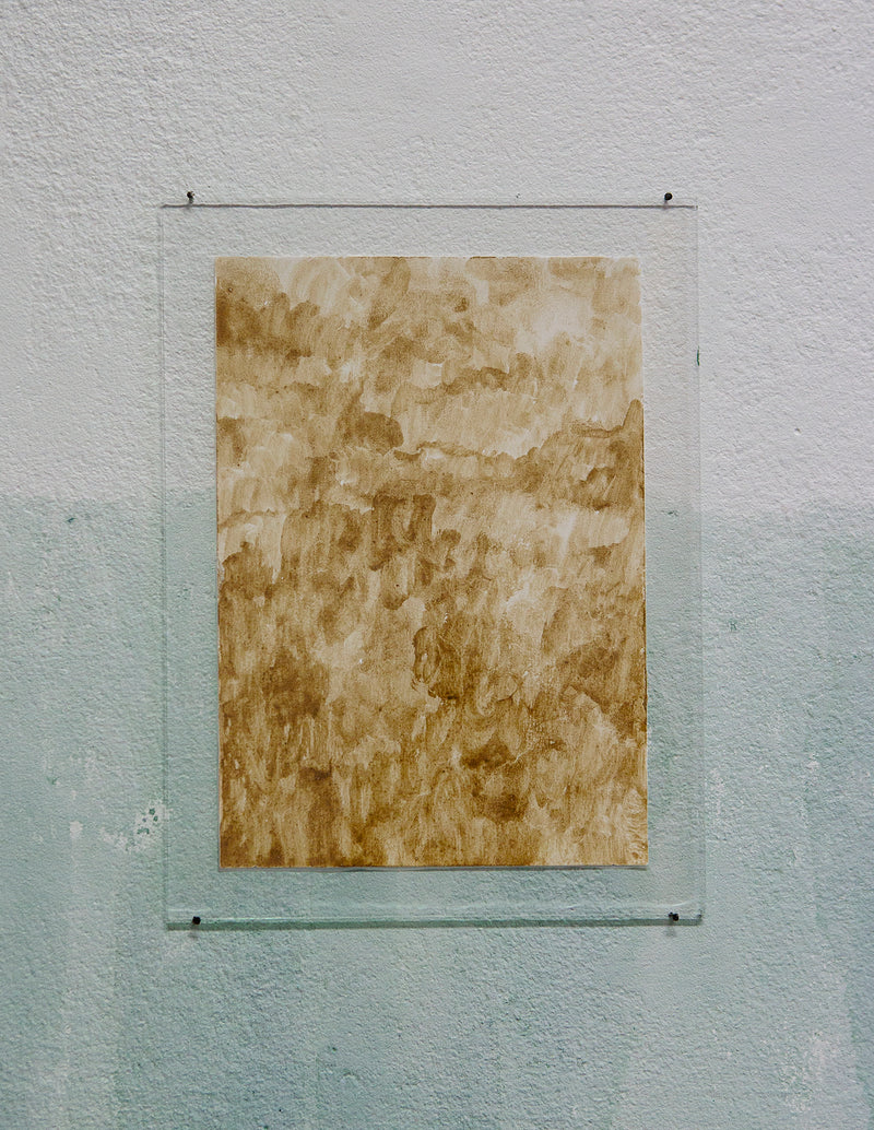 Soup of: rotten orange birch bolete mushroom - image 4