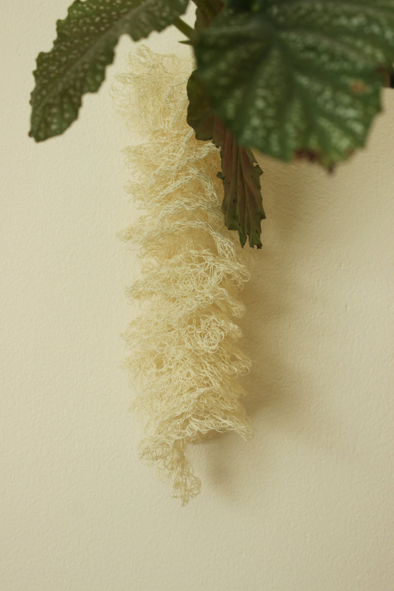 Hanging tail - image 3