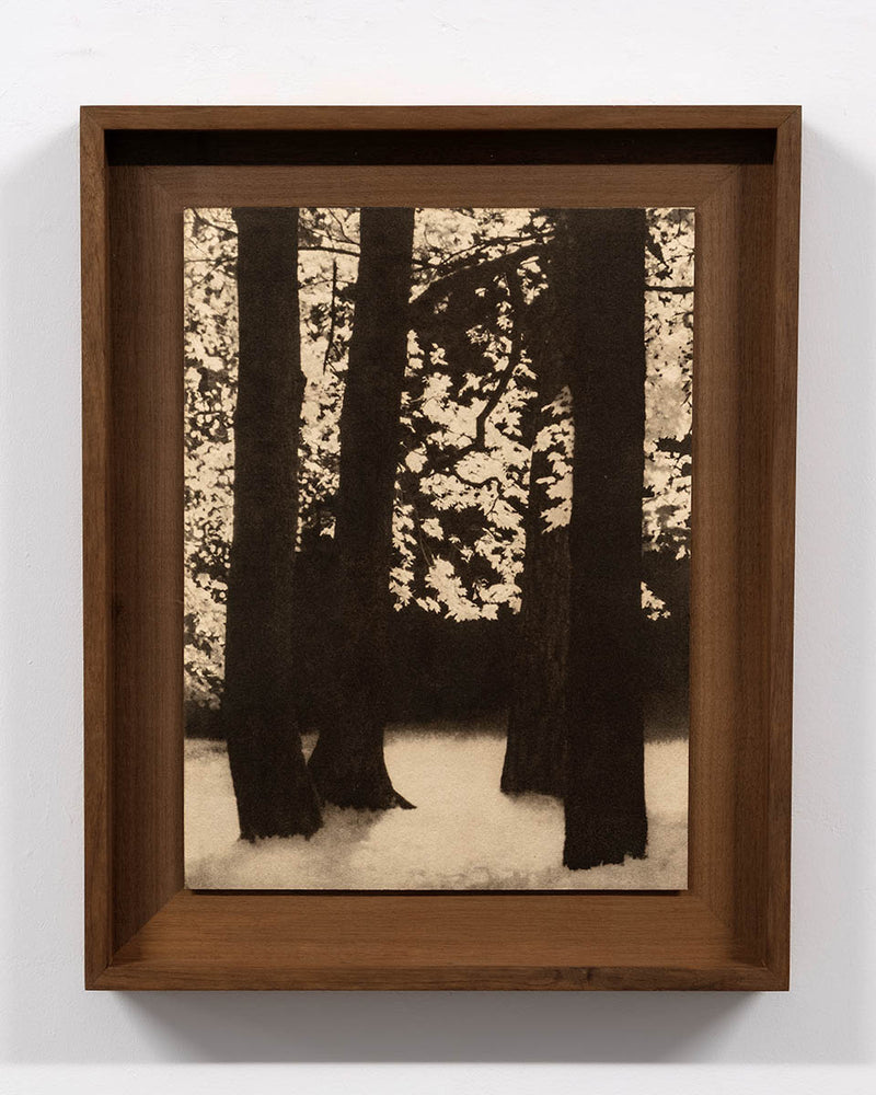 Elysium #01 - image 2