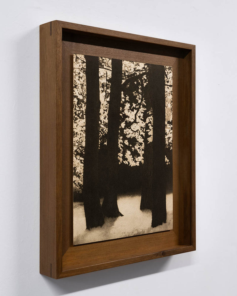 Elysium #01 - image 3