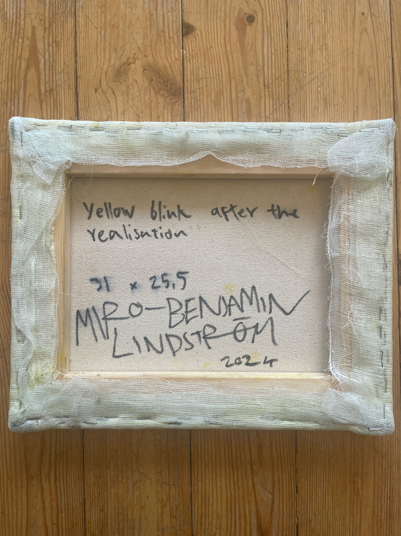 Yellow blink after the realisation - image 3