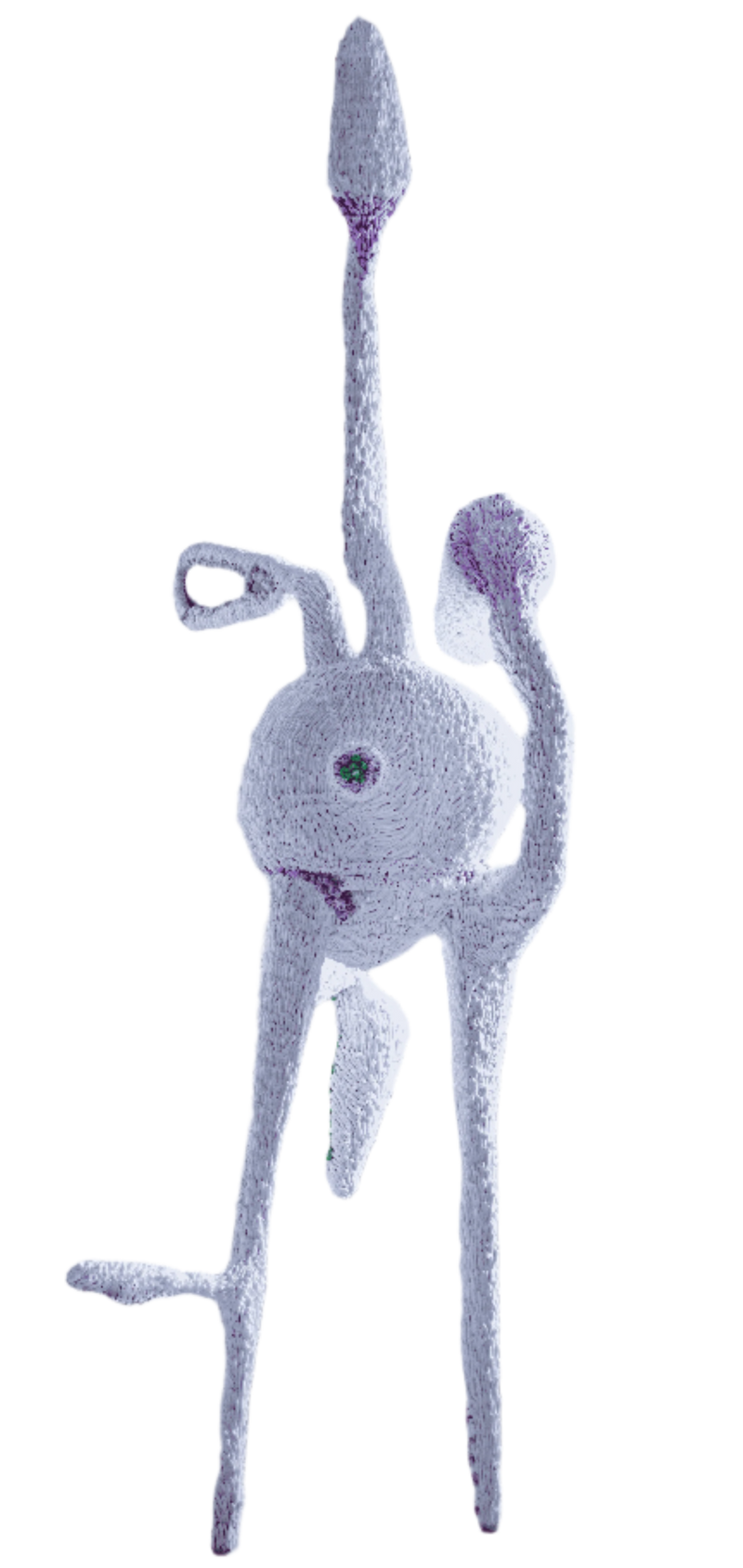 ANTHROPOCORALLIUS REX - image 1