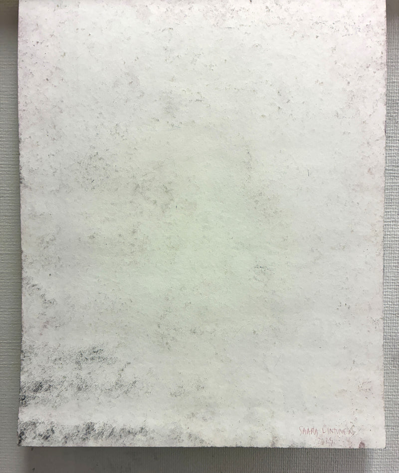 Globeflower 1 - image 3