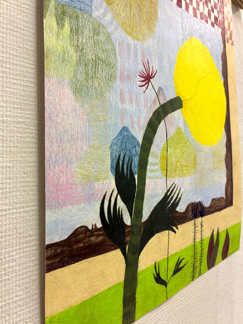 Globeflower 1 - image 4