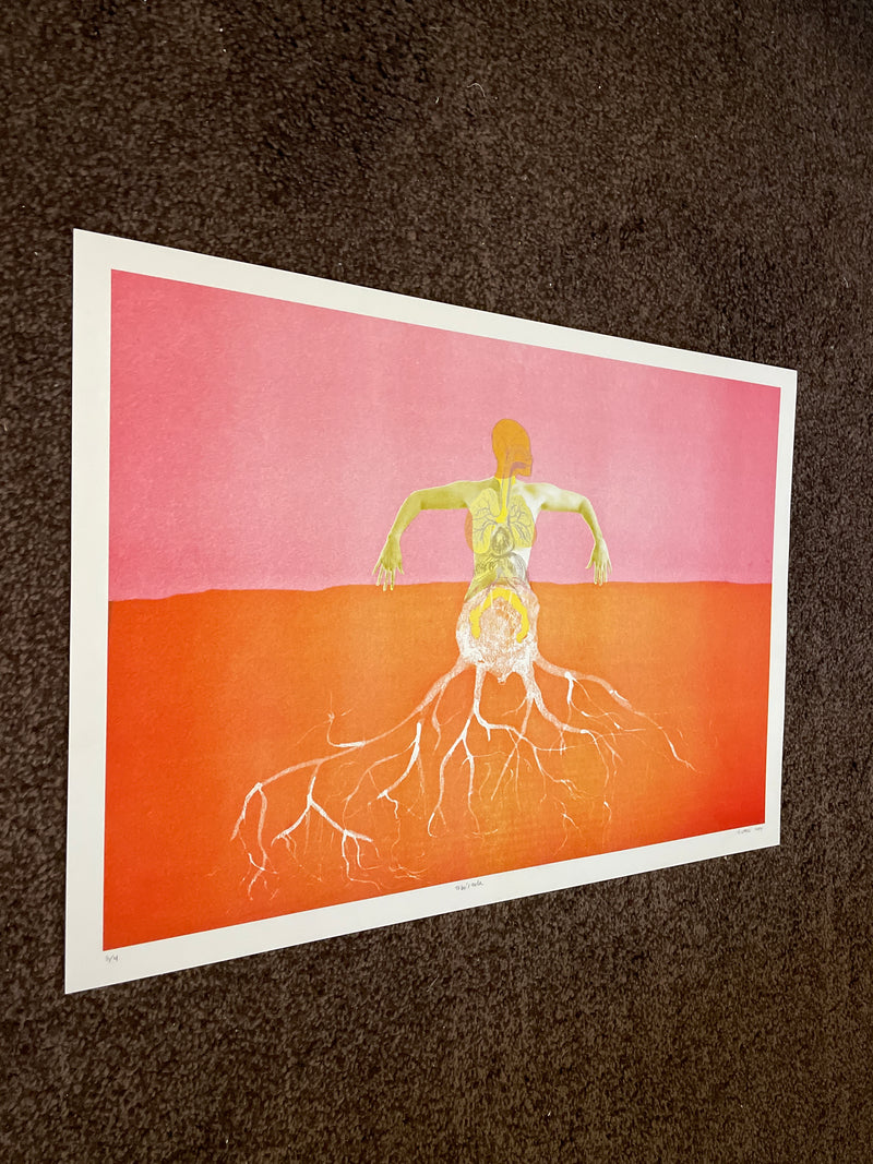 Tubércula - image 2