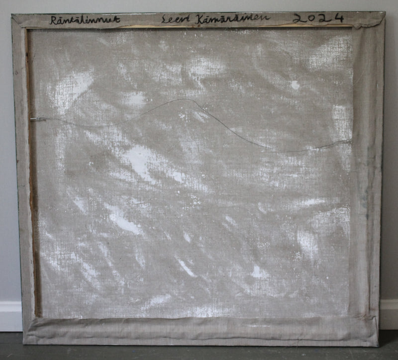 The Birds of Sleet - image 3