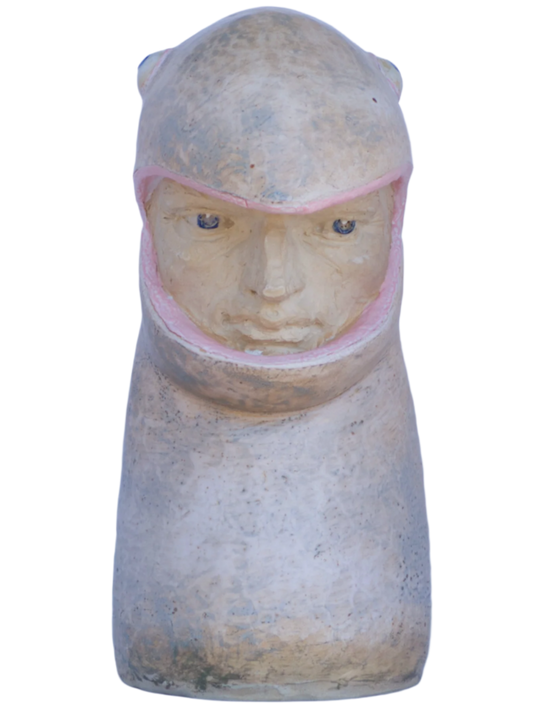 Lizard