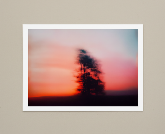 I Made You This - image 4