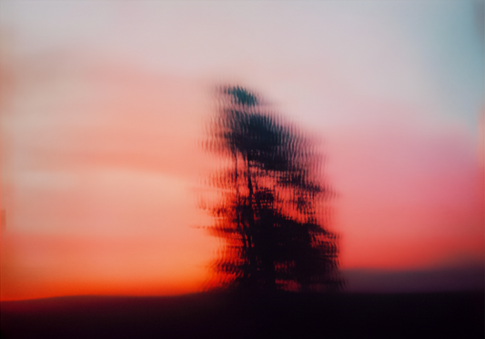 Framed artwork of a silhouette of a tree against a colorful sunset background.