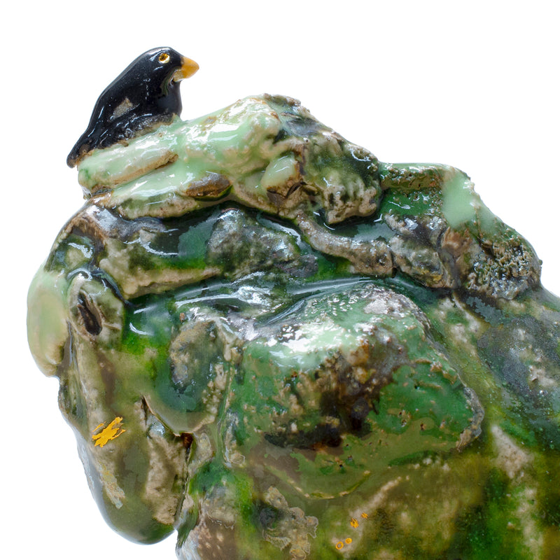 Metsänpohjaiset kaviot, mustarastas ja kultakivi - image 4