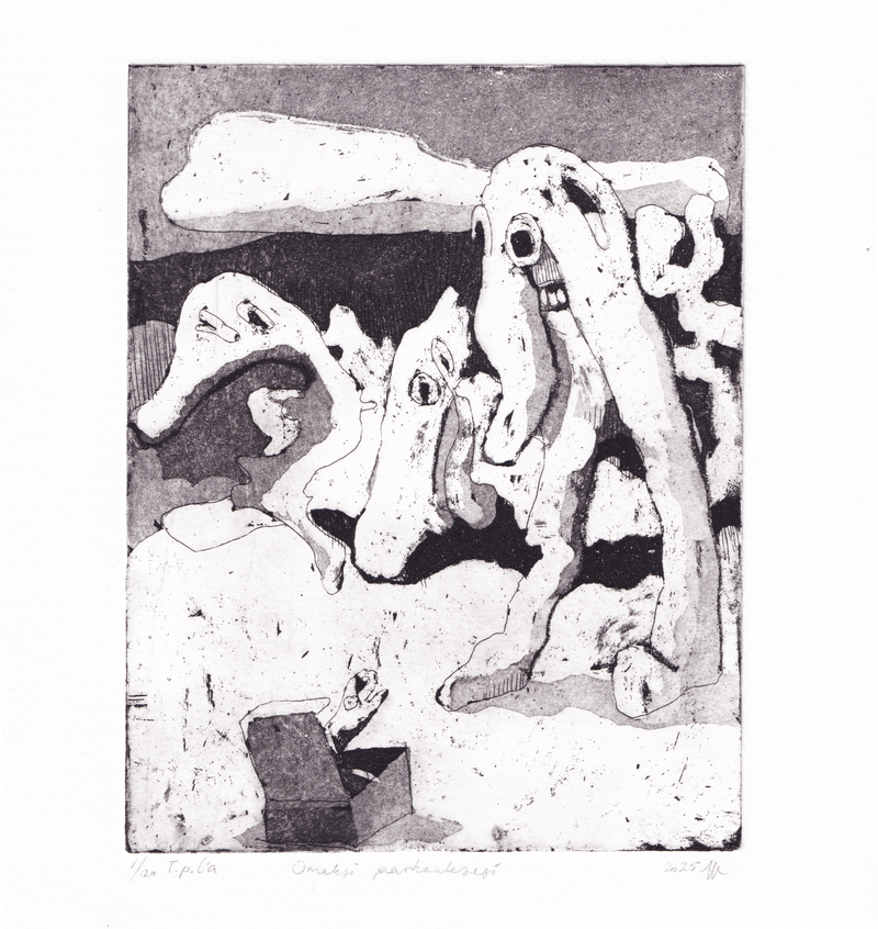 Omaksi parhaaksesi - image 1