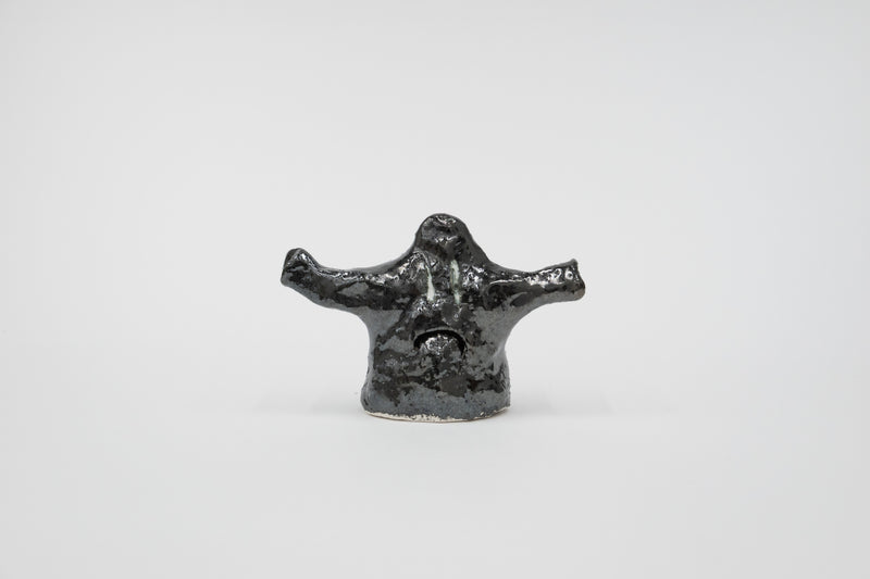 Onyhtäsuurikuinkaarisuljehai - image 4