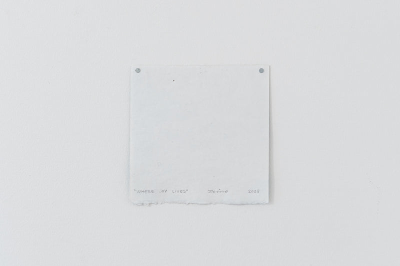 Where joy lives - image 6